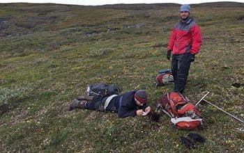 Patterns in permafrost soils could help climate change models