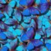 Butterfly-inspired nanotech makes natural-looking pictures on digital screens