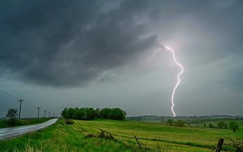 Spring rains: A surprising source of pollen