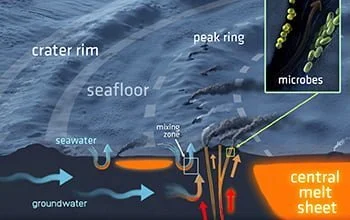 A steaming cauldron followed the dinosaurs’ demise A steaming cauldron followed the dinosaurs’ demise